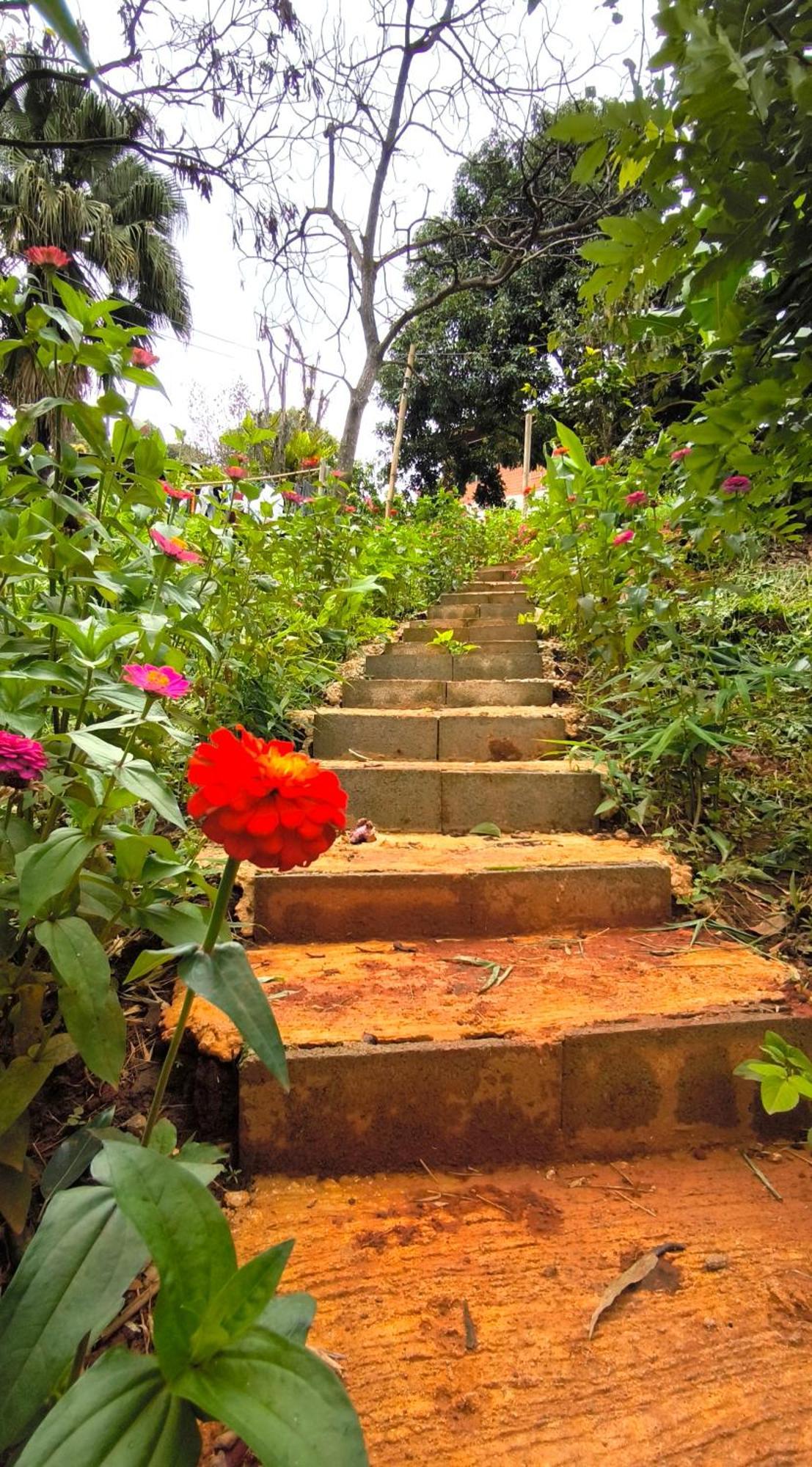 Peamoo Homestay Chom Thong Exterior photo